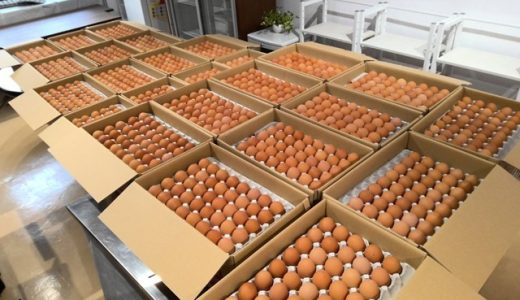 久住の鶏卵業者様より新鮮な卵のご提供